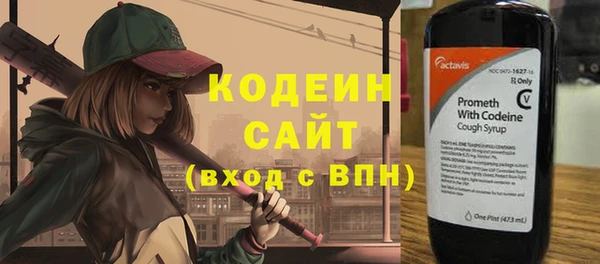 ГАЛЛЮЦИНОГЕННЫЕ ГРИБЫ Богданович