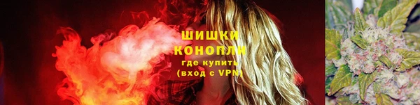дурь Богородицк