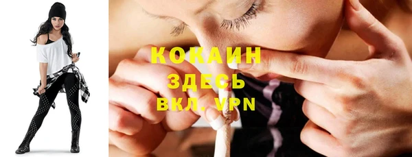 ГАЛЛЮЦИНОГЕННЫЕ ГРИБЫ Богданович