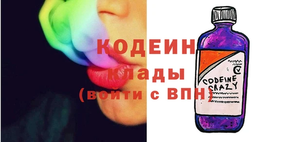 ГАЛЛЮЦИНОГЕННЫЕ ГРИБЫ Богданович