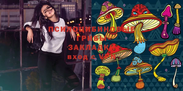 дурь Богородицк