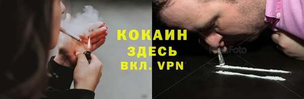 ГАЛЛЮЦИНОГЕННЫЕ ГРИБЫ Богданович