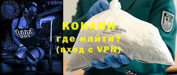 ГАЛЛЮЦИНОГЕННЫЕ ГРИБЫ Богданович